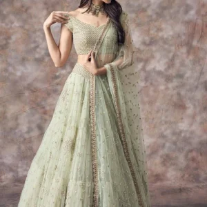 Home Page wedding pista green embroidery net lehenga choli