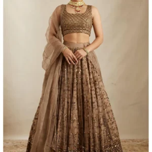 Home Page pretty soft net sequence zari embroidery work brown lehenga